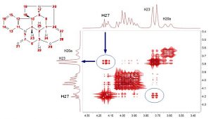 Covariance NMR