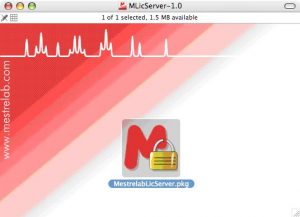 How to install a License Server (Mac)
