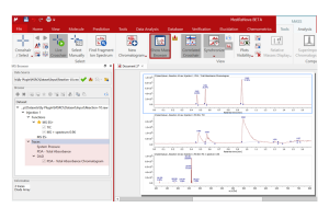 Chromatogram Alignment with Mgears