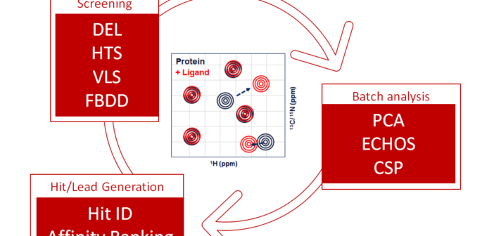 Fragment-Based Drug Discovery (FBDD) Application