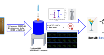 Practical-Measurements-Strategy-of-Anisotropic-RDC-Data-for-Stereochemical-Characterization-of-Molecules.png